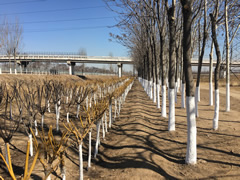 寶坻區(qū)農村污水處理與改造.jpg
